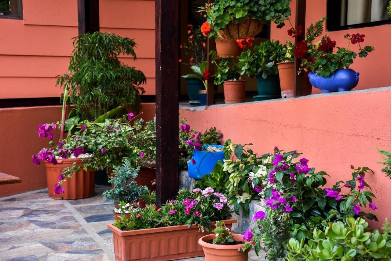 Cabinas Eddy B&B Монте-Верде Экстерьер фото